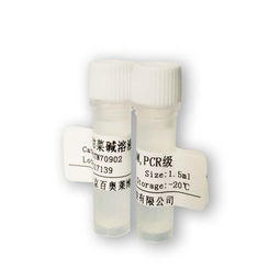 SDS（十二烷基硫酸钠）采购全攻略 最新价格趋势与优质供应商推荐（生物试剂领域）