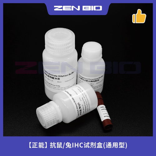 深度解读成都正能生物抗鼠兔通用型IHC试剂盒 价格与供应优势分析