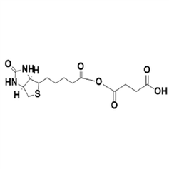 磷脂脂质体-peg衍生物-陕西星贝爱科生物
