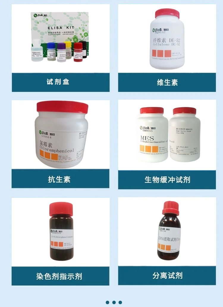多酚氧化酶 (酪氨酸酶) 来源于蘑菇 9002-10-2 博美生物 试剂科研实验