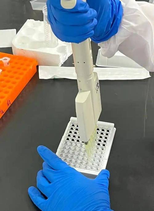 elisa检测试剂盒科学原理详解